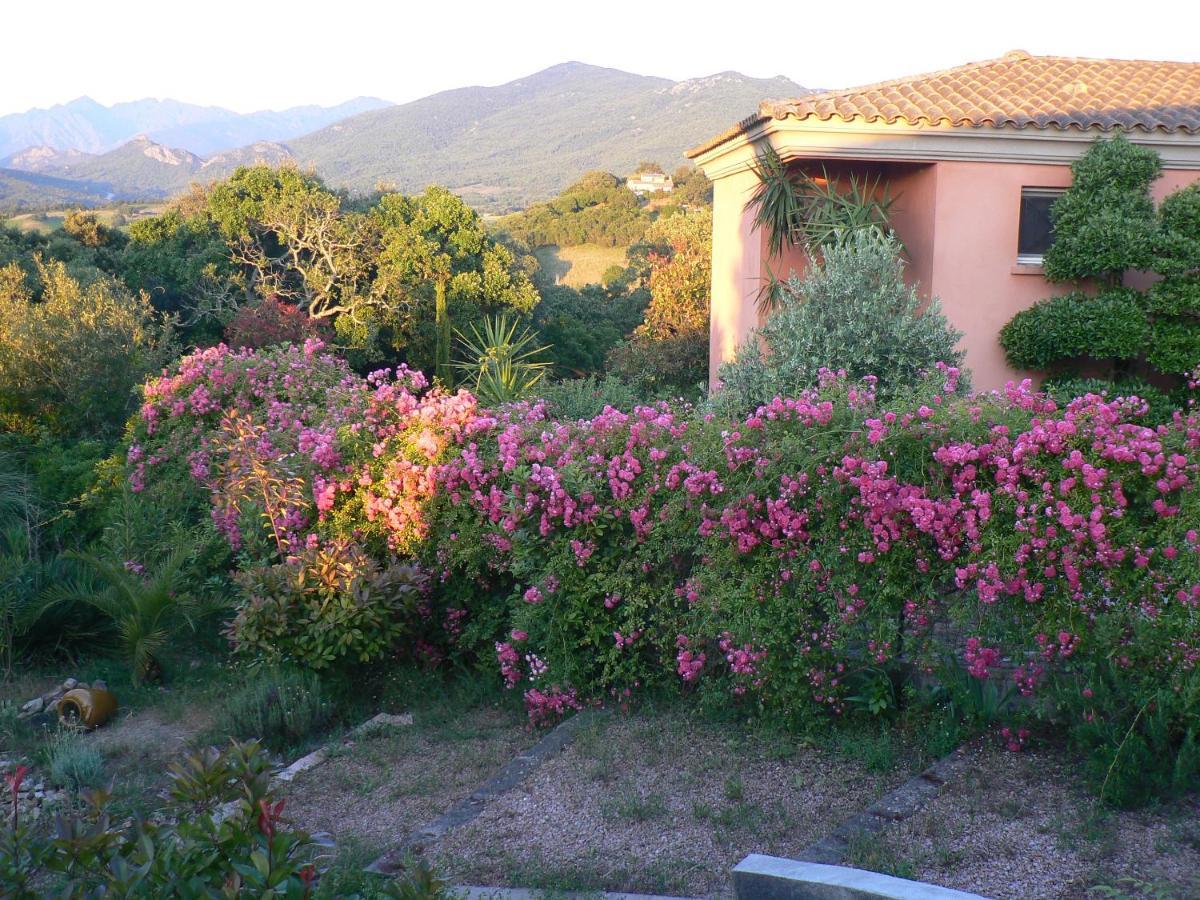 Chambre D'Hote Casa Tozza 波尔蒂乔 外观 照片